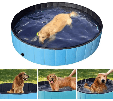 basen rozkładany dla psa