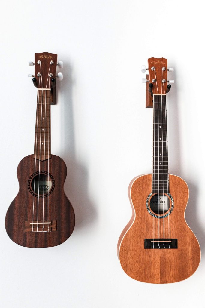 Gitara a ukulele
