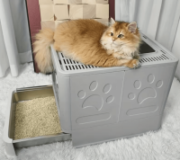 Kuweta ze stali nierdzewnej Kuweta ze stali nierdzewnej